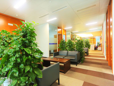 上海合同纠纷律师